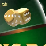 Hiểu rõ cược vị xóc đĩa là gì cho tân thủ