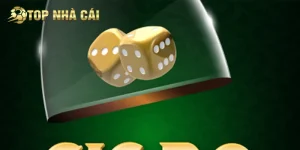 Cược Vị Xóc Đĩa Là Gì? Các Cửa Cược Xóc Đĩa Phổ Biến Nhất