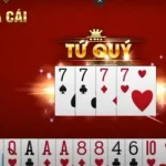 Khái niệm đè cóng trong tiến lên miền Nam đếm lá